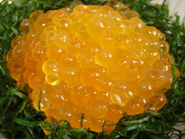 産地直送☆珍品 美味 あまご アマゴ イクラ いくら☆